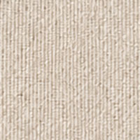Sand Dune